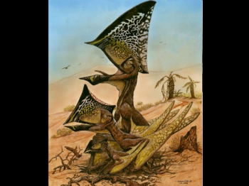 В Бразилии открыт новый вид доисторических летающих рептилий (иллюстрация Maurilio Oliveira, Museu Nacional-UFRJ).